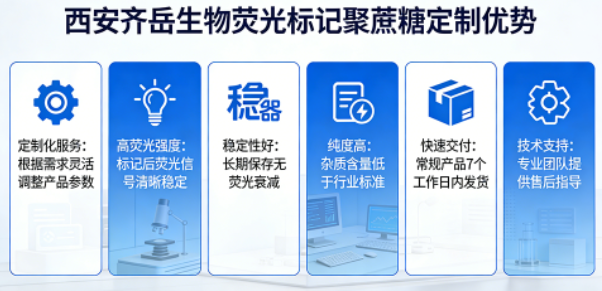 定制优势 定制优势