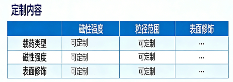 载药磁性纳米颗粒定制 载药磁性纳米颗粒定制