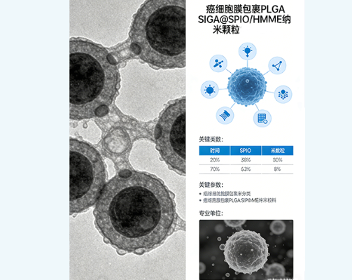 癌细胞膜包裹PLGA@SPIO/HMME载药磁性纳米颗粒定制 癌细胞膜包裹PLGA@SPIO/HMME载药磁性纳米颗粒定制