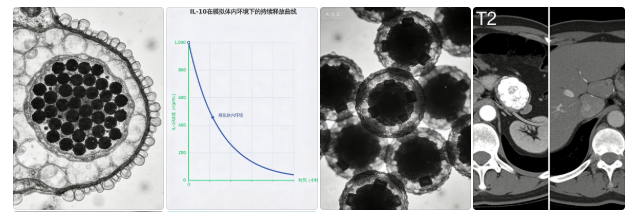 Fe₃O₄纳米载体 Fe₃O₄纳米载体