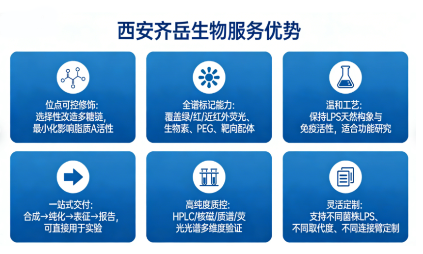 服务优势 服务优势