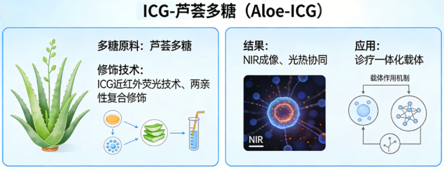 ICG-芦荟多糖 ICG-芦荟多糖