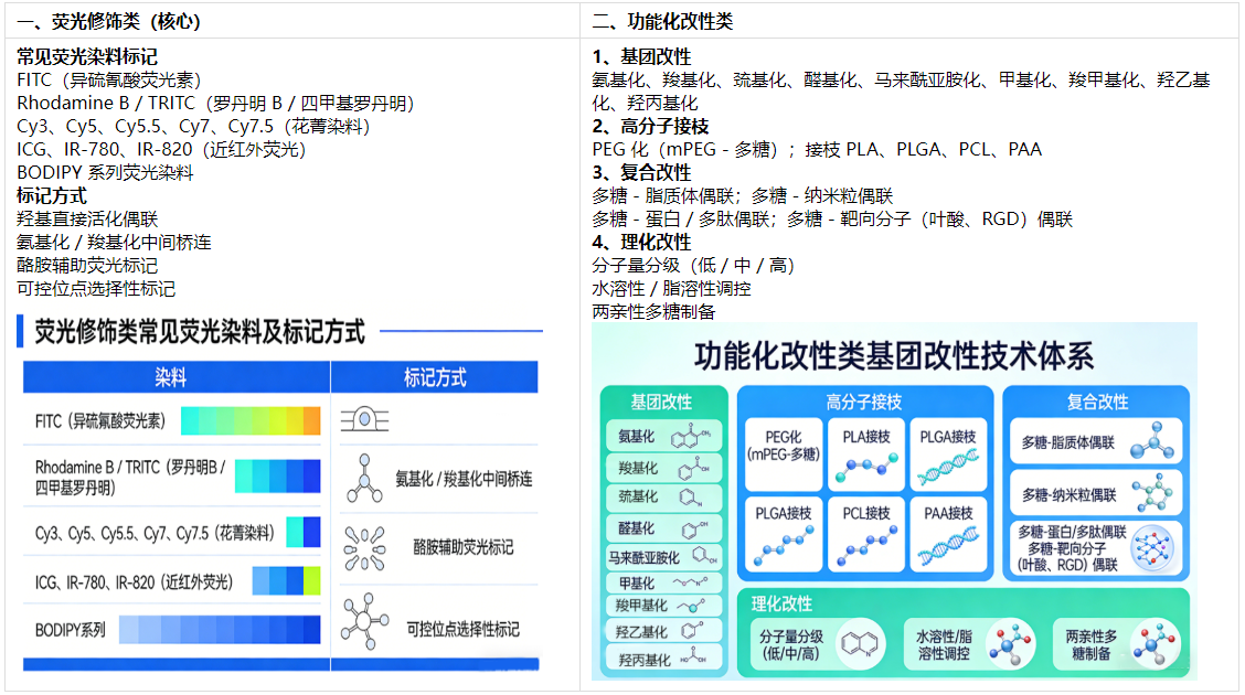 多糖的荧光修饰与改性 多糖的荧光修饰与改性