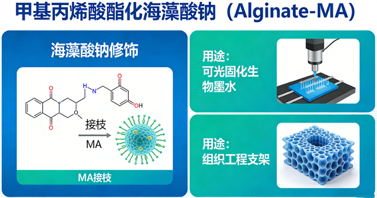 Alginate-MA Alginate-MA