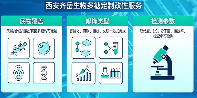 多糖改性定制服务 多糖改性定制服务