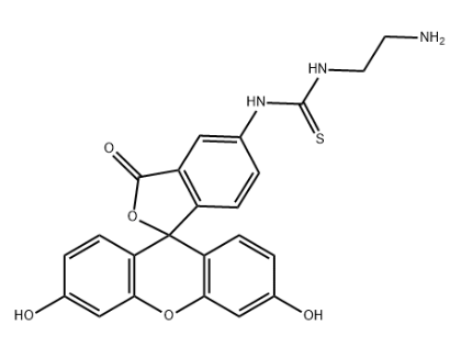 5-FITC-C2-NH2 5-FITC-C2-NH2