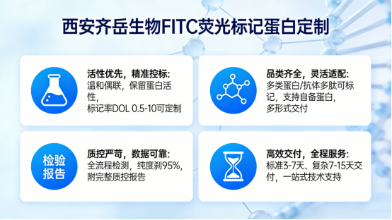 核心优势 核心优势