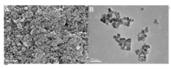 文献二: 文献二: