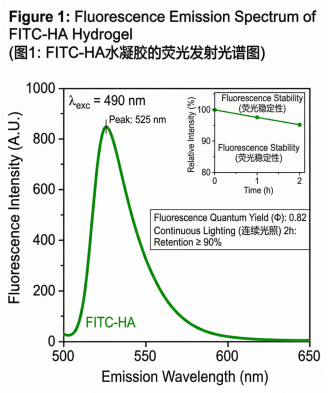 FITC荧光标记HA水凝胶