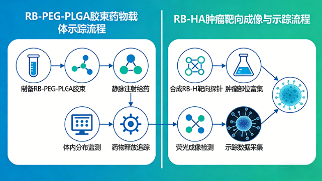 RB-PEG-PLGA RB-PEG-PLGA