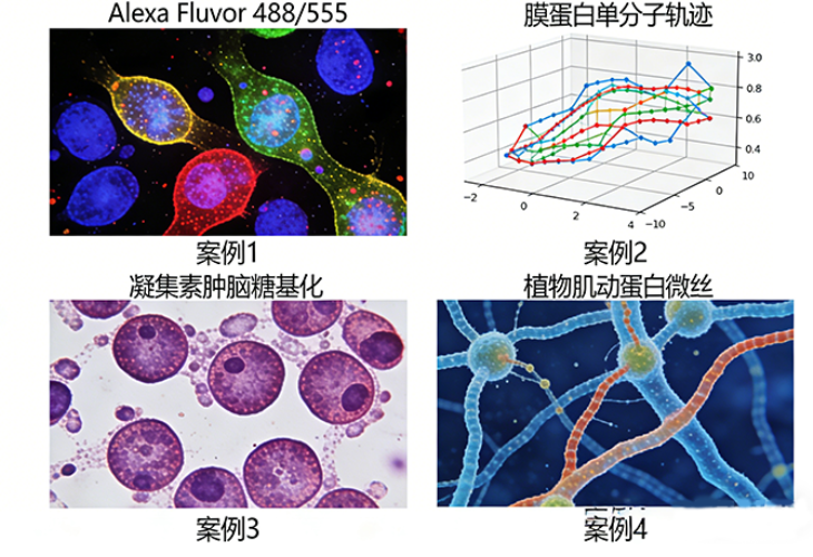 1773283657761068.png ScreenShot_2026-03-12_104726_568.png