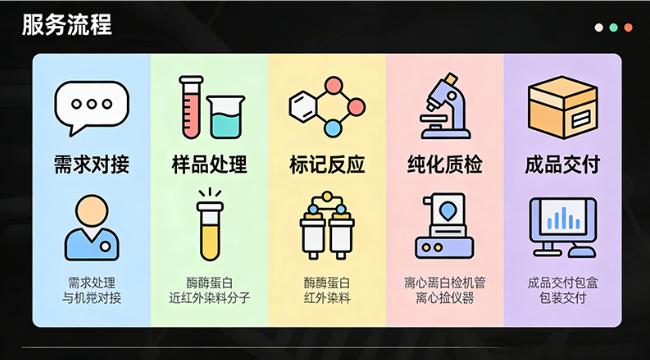 近红外染料(IRDye 680、IRDye 800)标记酶蛋白定制 近红外染料(IRDye 680、IRDye 800)标记酶蛋白定制