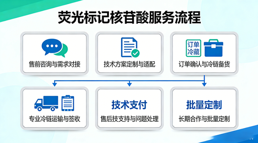 荧光标记核苷酸