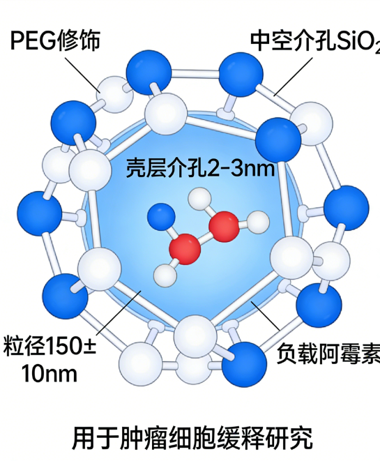 PEG 修饰中空介孔 SiO₂载药