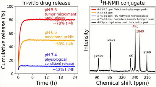 pH响应型半乳糖-PEG-阿霉素偶联物定制 pH响应型半乳糖-PEG-阿霉素偶联物定制