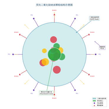 荧光二氧化硅纳米颗粒结构设计