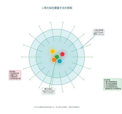 二氧化硅包覆量子点