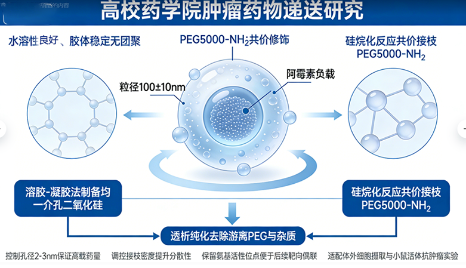 PEG-介孔二氧化硅纳米颗粒 PEG-介孔二氧化硅纳米颗粒