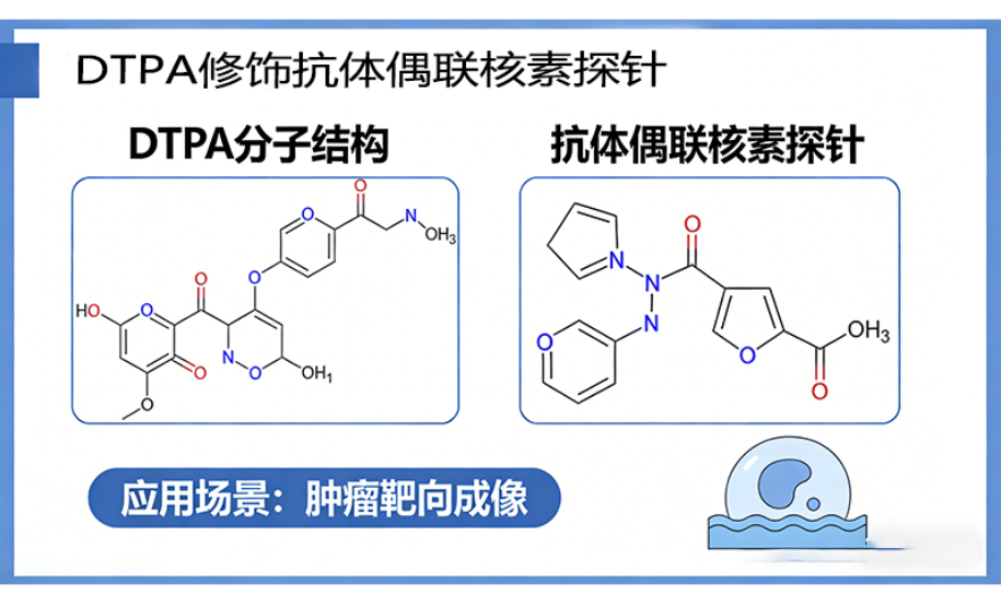 DTPA修饰*体偶联核素探针