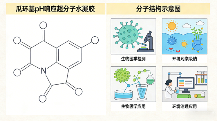 瓜环基pH响应超分子水凝胶