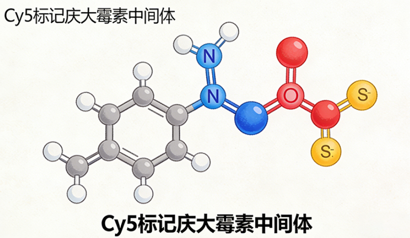 Cy5标记庆大霉素中间体
