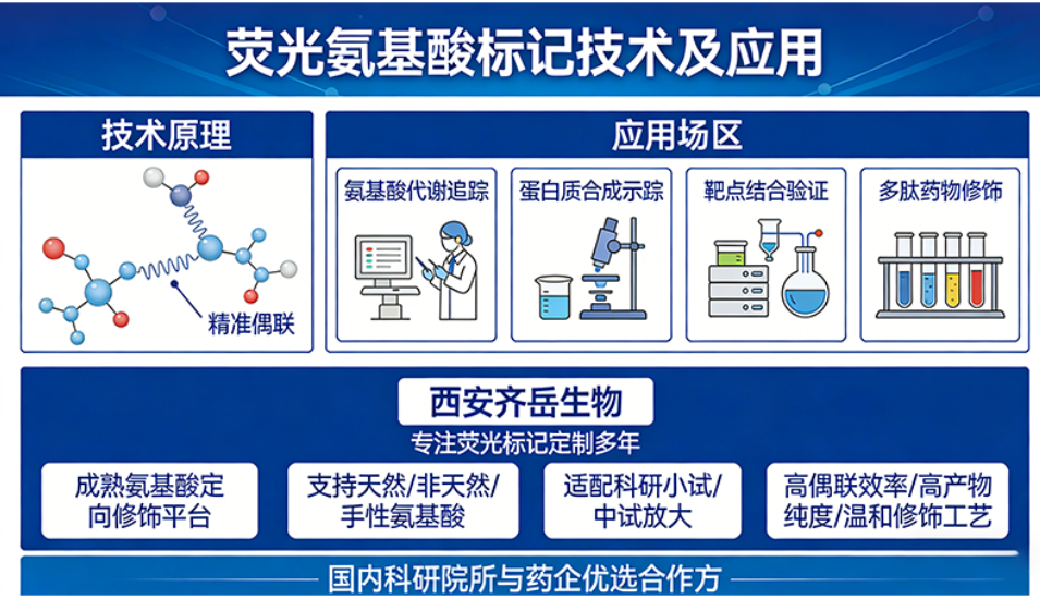 荧光氨基酸标记定制服务