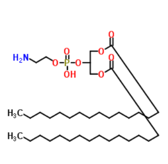 1,3-二棕榈酰-glycero-2-磷酸乙醇胺 