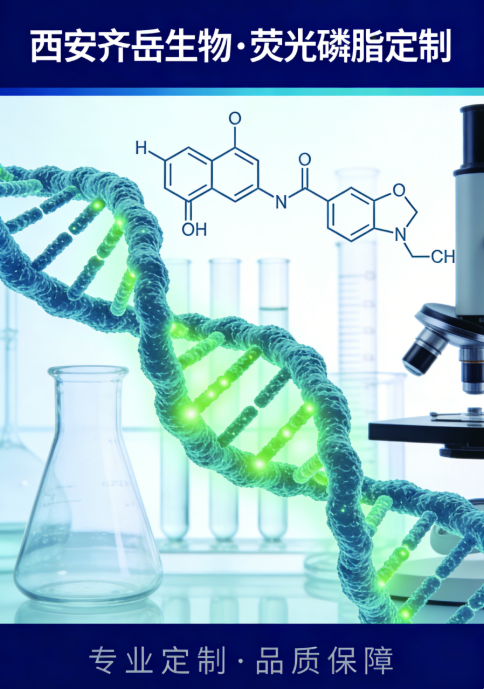 荧光磷脂定制