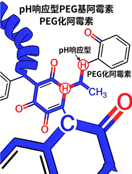pH响应型PEG化阿霉素定制