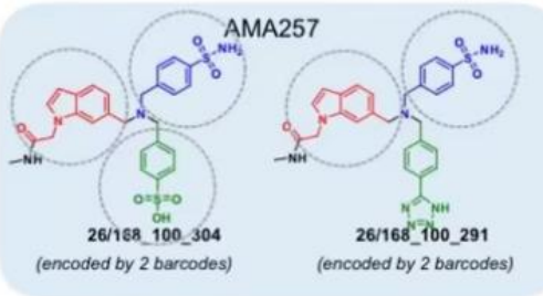 AMA257化合物定制