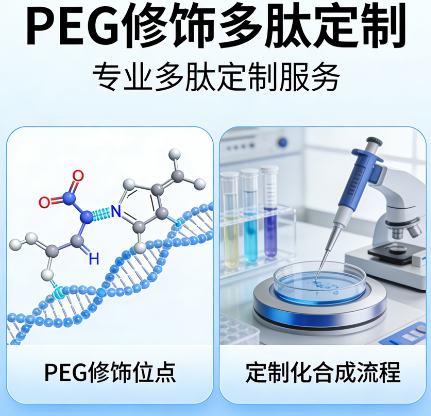 PEG 修饰多肽 PEG 修饰多肽