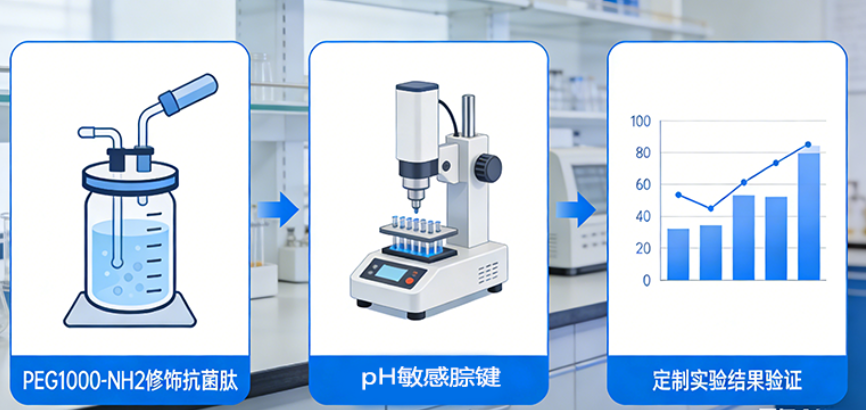 pH敏感腙键 PEG1000-NH2 修饰*菌肽定制 pH敏感腙键 PEG1000-NH2 修饰*菌肽定制