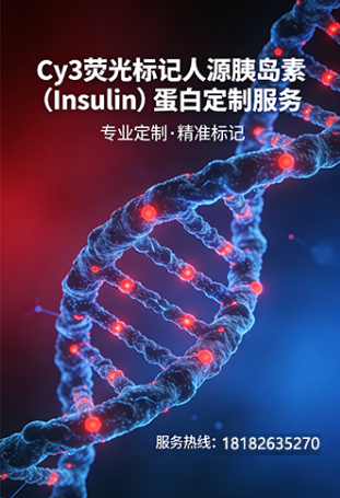 Cy3荧光标记人源胰岛素(Insulin)蛋白 Cy3荧光标记人源胰岛素(Insulin)蛋白