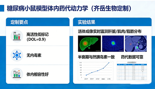 糖尿病小鼠模型体内药代动力学 糖尿病小鼠模型体内药代动力学