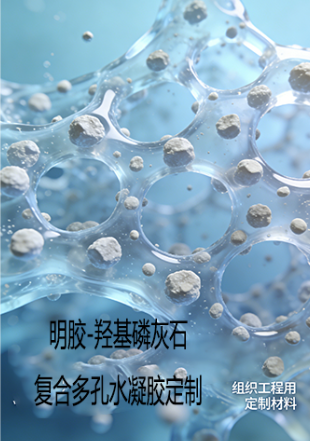 明胶-羟基磷灰石复合多孔水凝胶定制