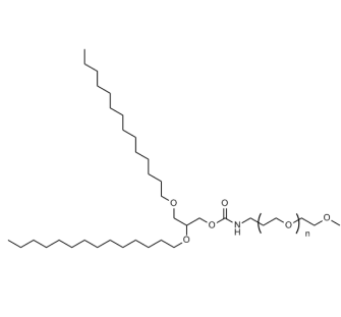 MPEG2000C-DMG MPEG2000C-DMG