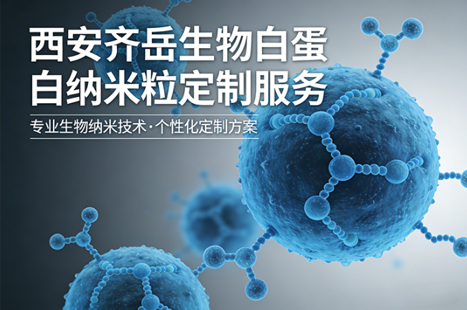 白蛋白纳米粒定制 白蛋白纳米粒定制