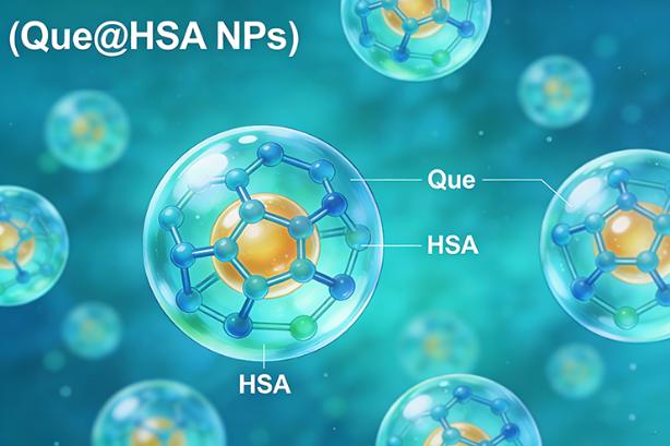 负载槲皮素的人血清白蛋白纳米粒 负载槲皮素的人血清白蛋白纳米粒
