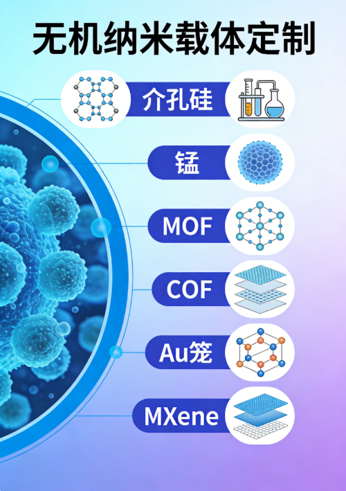 无机纳米载体定制 无机纳米载体定制