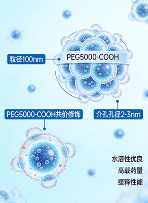 介孔硅纳米载体定制 介孔硅纳米载体定制