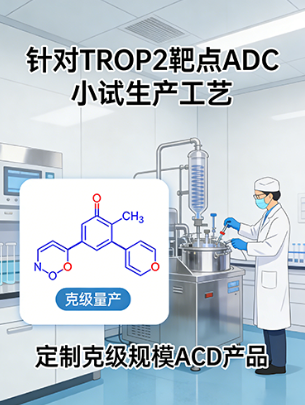 某药企TROP2靶向ADC小试工艺开发项目