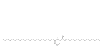 C22神经酰胺(d18：1/22：0)	 