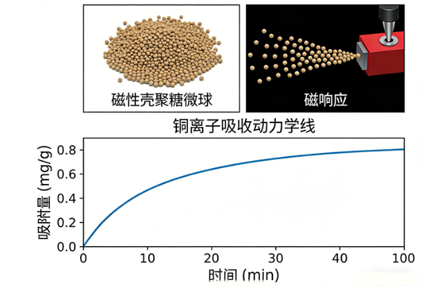Fe₃O₄@壳聚糖磁性复合微球定制