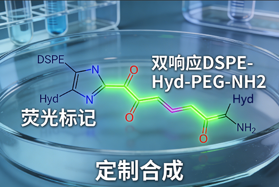 荧光标记+双响应DSPE-Hyd-PEG-NH2定制