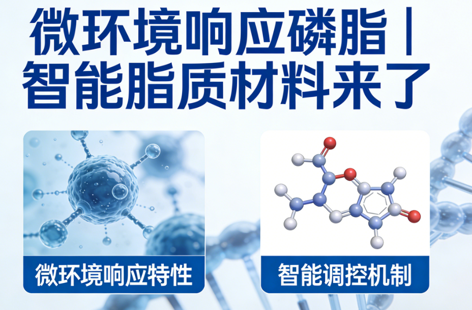 微环境响应磷脂 微环境响应磷脂