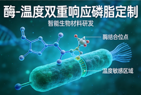 酶-温度双重响应磷脂定制 酶-温度双重响应磷脂定制