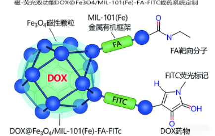 磁-荧光双功能DOX@Fe₃O₄/MIL-101(Fe)-FA-FITC载药系统定制 磁-荧光双功能DOX@Fe₃O₄/MIL-101(Fe)-FA-FITC载药系统定制