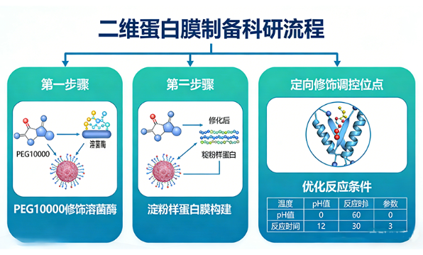 高校科研项目（二维蛋白膜制备）