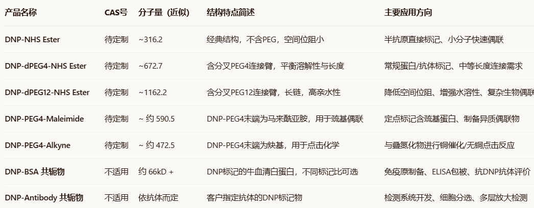 DNP-dPEG4/dPEG12-NHS ester