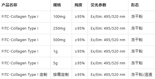 FITC标记I型胶原蛋白